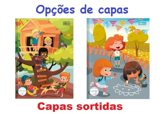 https://colegiosantaclara.papelariapremium.com.br/image/cache/data/eftr/Img_ftr_rp_179101-580x400.JPG