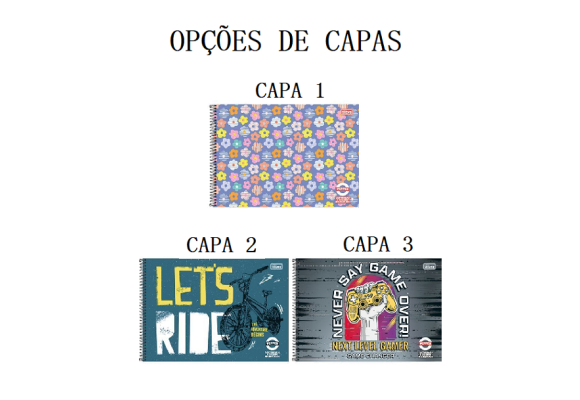 https://colegiosantaclara.papelariapremium.com.br/image/cache/data/eftr/Img_ftr_rp_395701-580x400.PNG