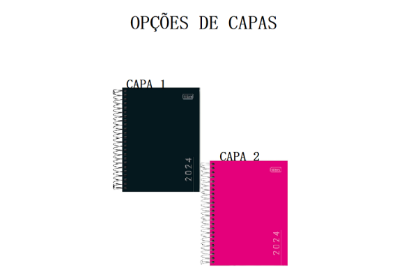 https://colegiosantaclara.papelariapremium.com.br/image/cache/data/eftr/Img_ftr_rp_409301-580x400.PNG